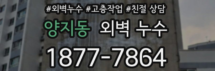 양지동 외벽 누수