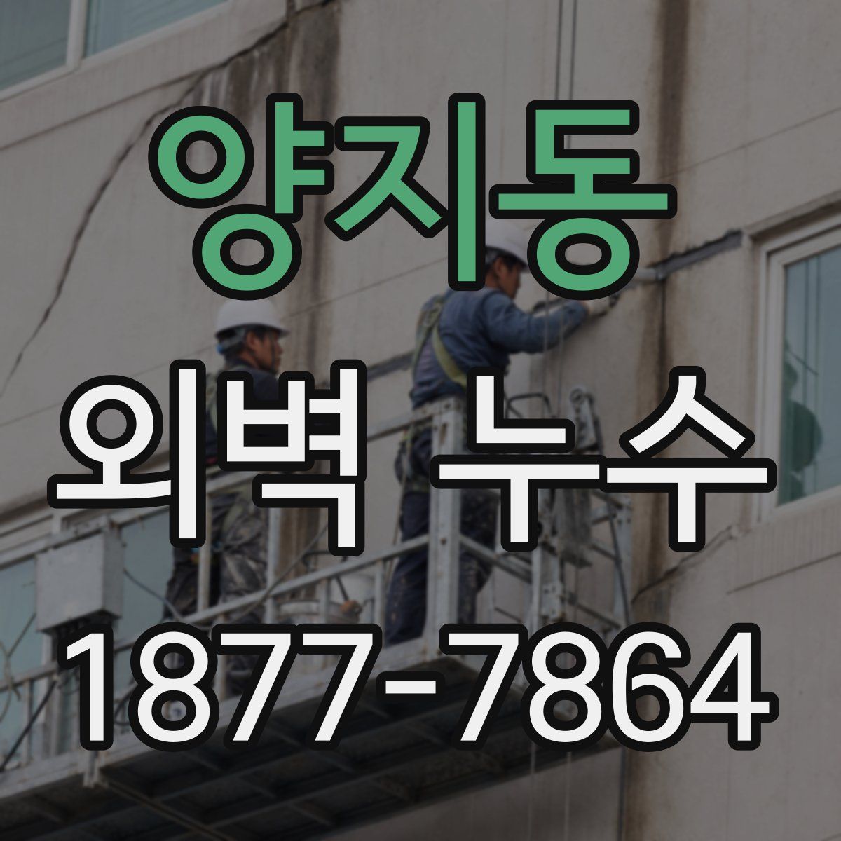 양지동 외벽 누수