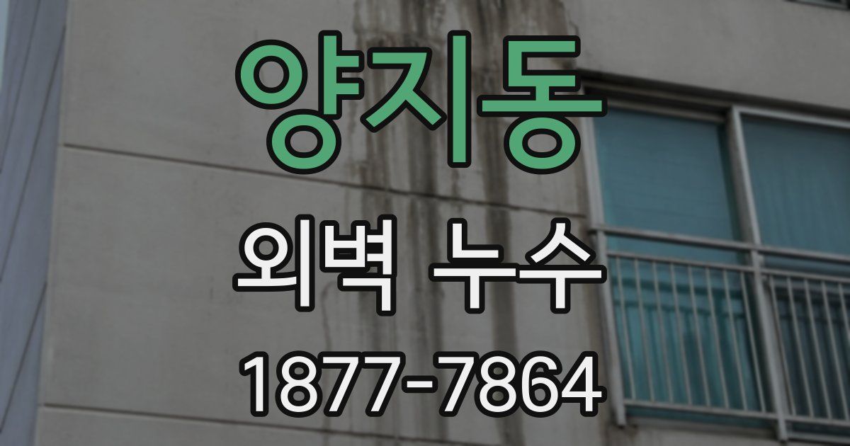 양지동 외벽 누수