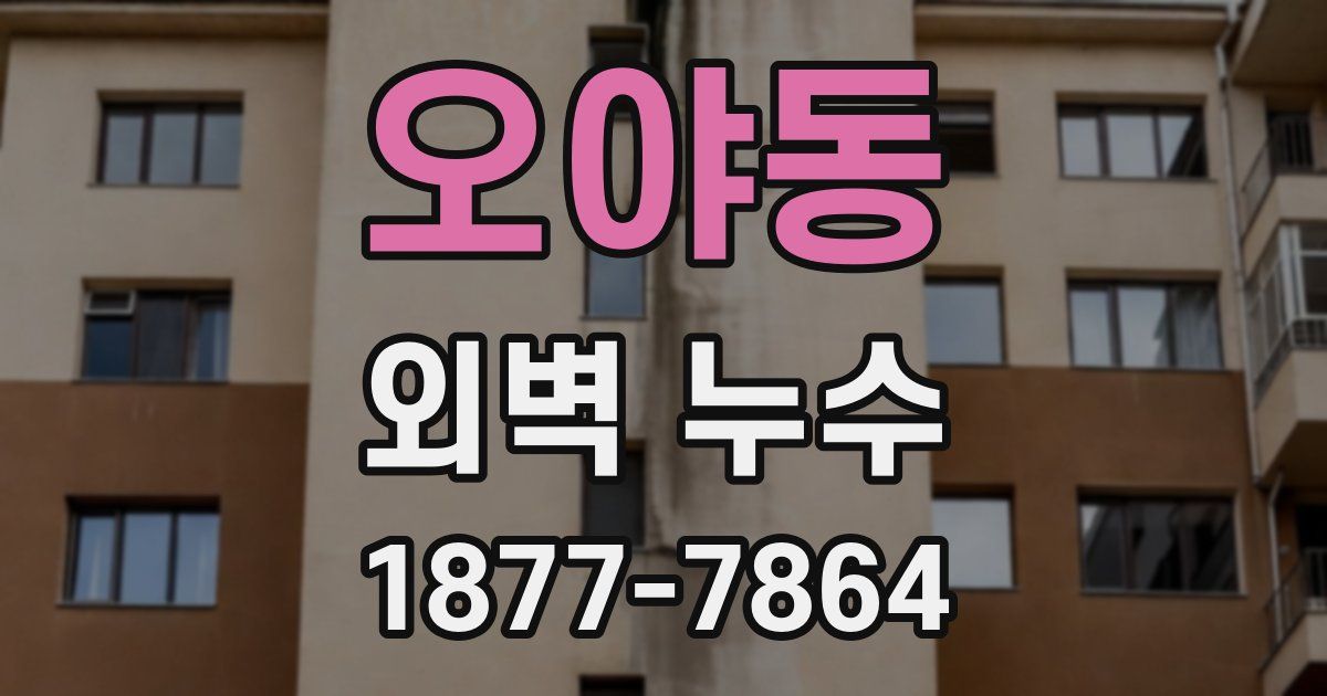 오야동 외벽 누수
