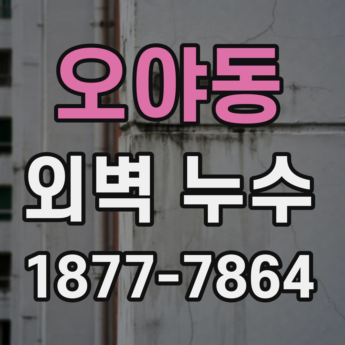 오야동 외벽 누수