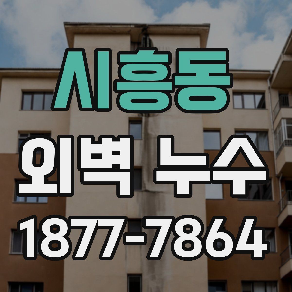 시흥동 외벽 누수 발생 원인과 점검 우선순위