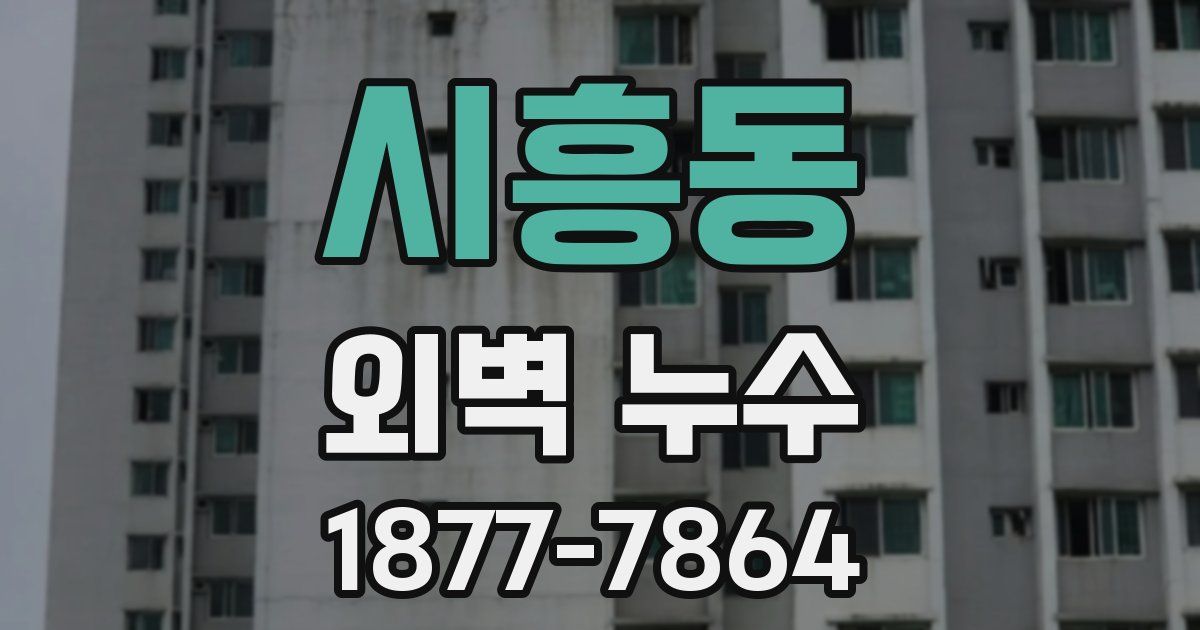 시흥동 외벽 누수