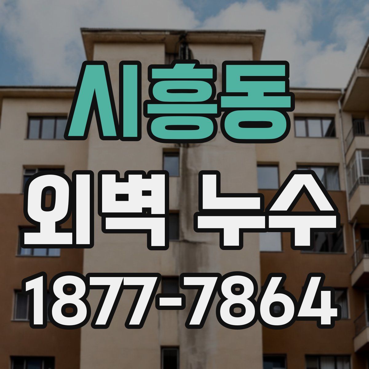 시흥동 외벽 누수