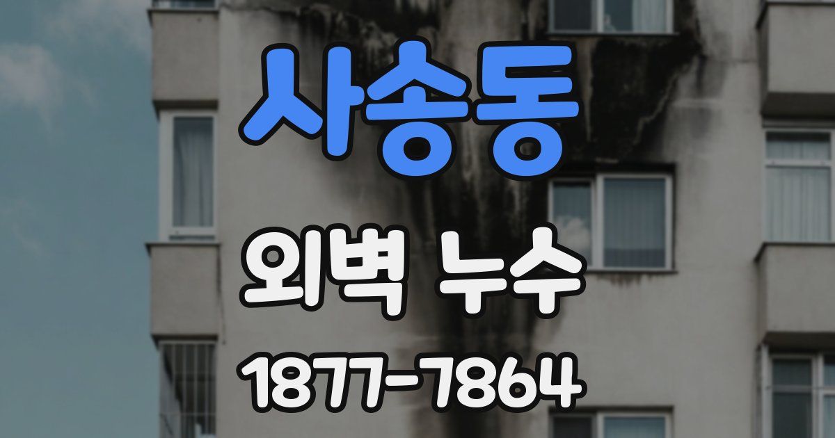 사송동 외벽 누수