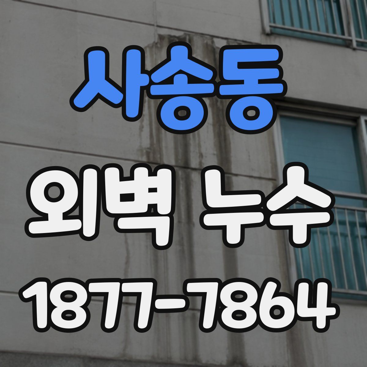 사송동 외벽 누수