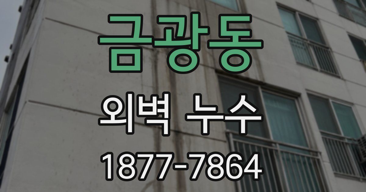 금광동 외벽 누수
