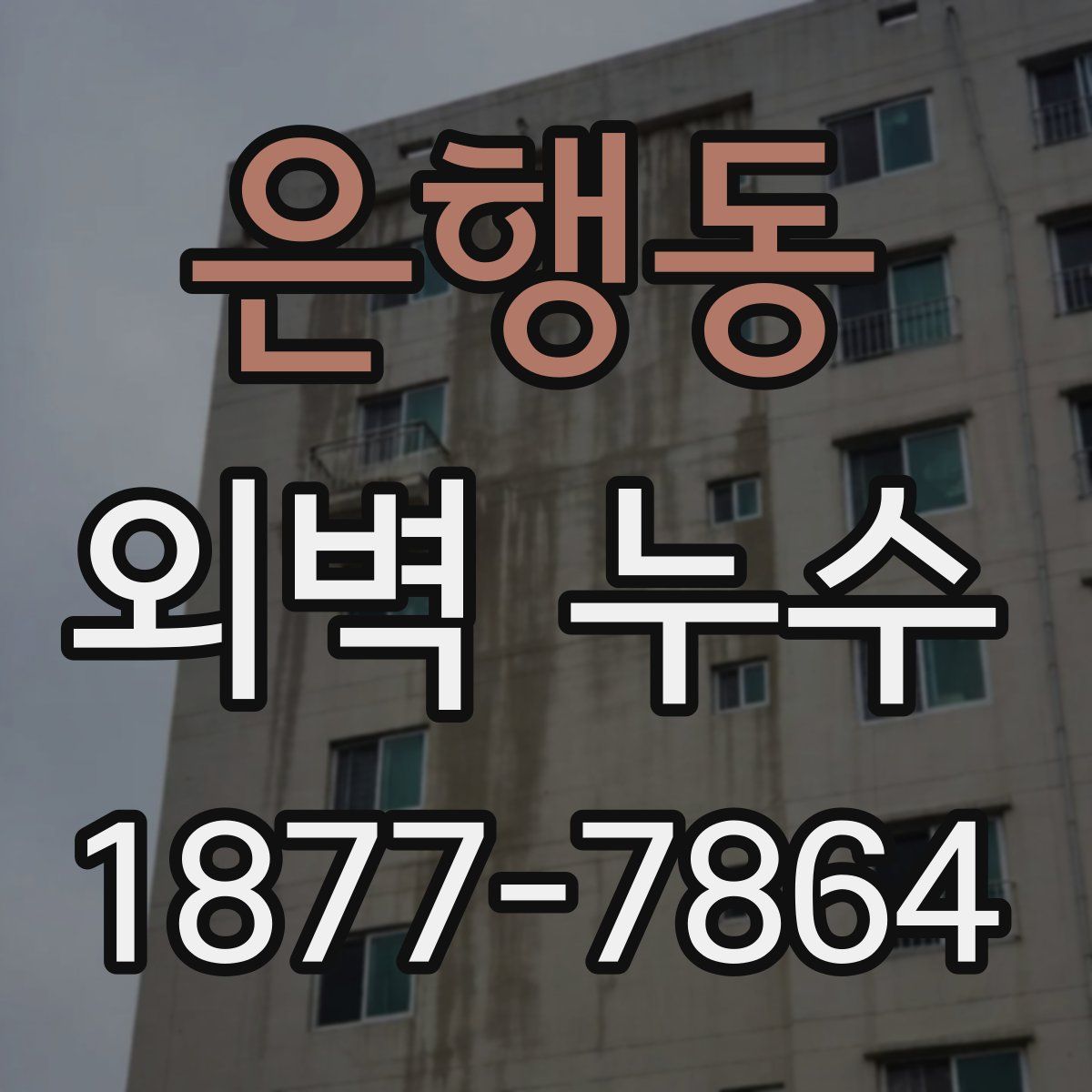 은행동 외벽 누수