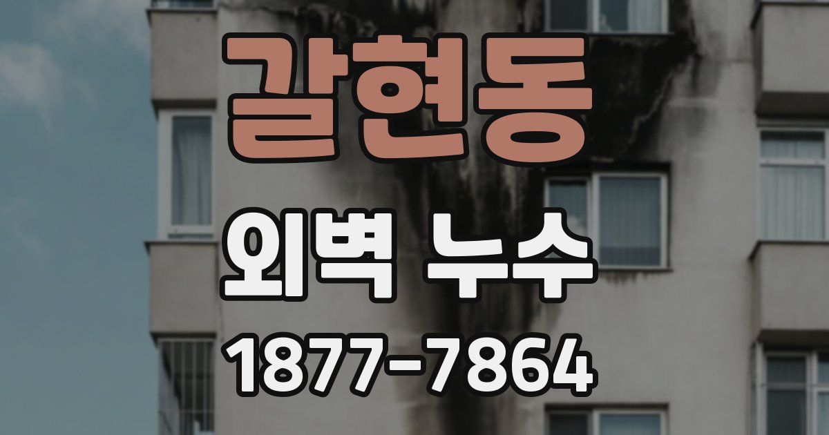 갈현동 외벽 누수