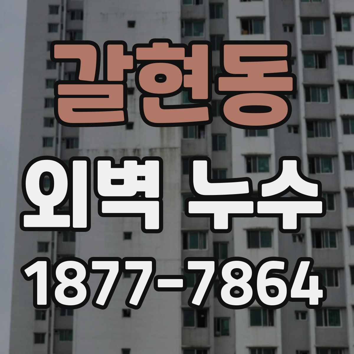갈현동 외벽 누수