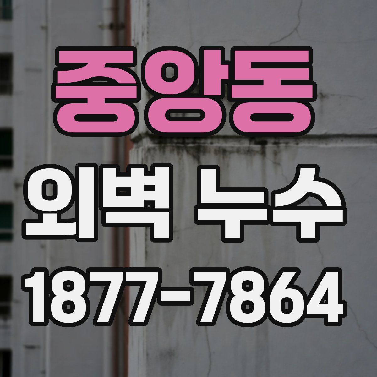 중앙동 외벽 누수