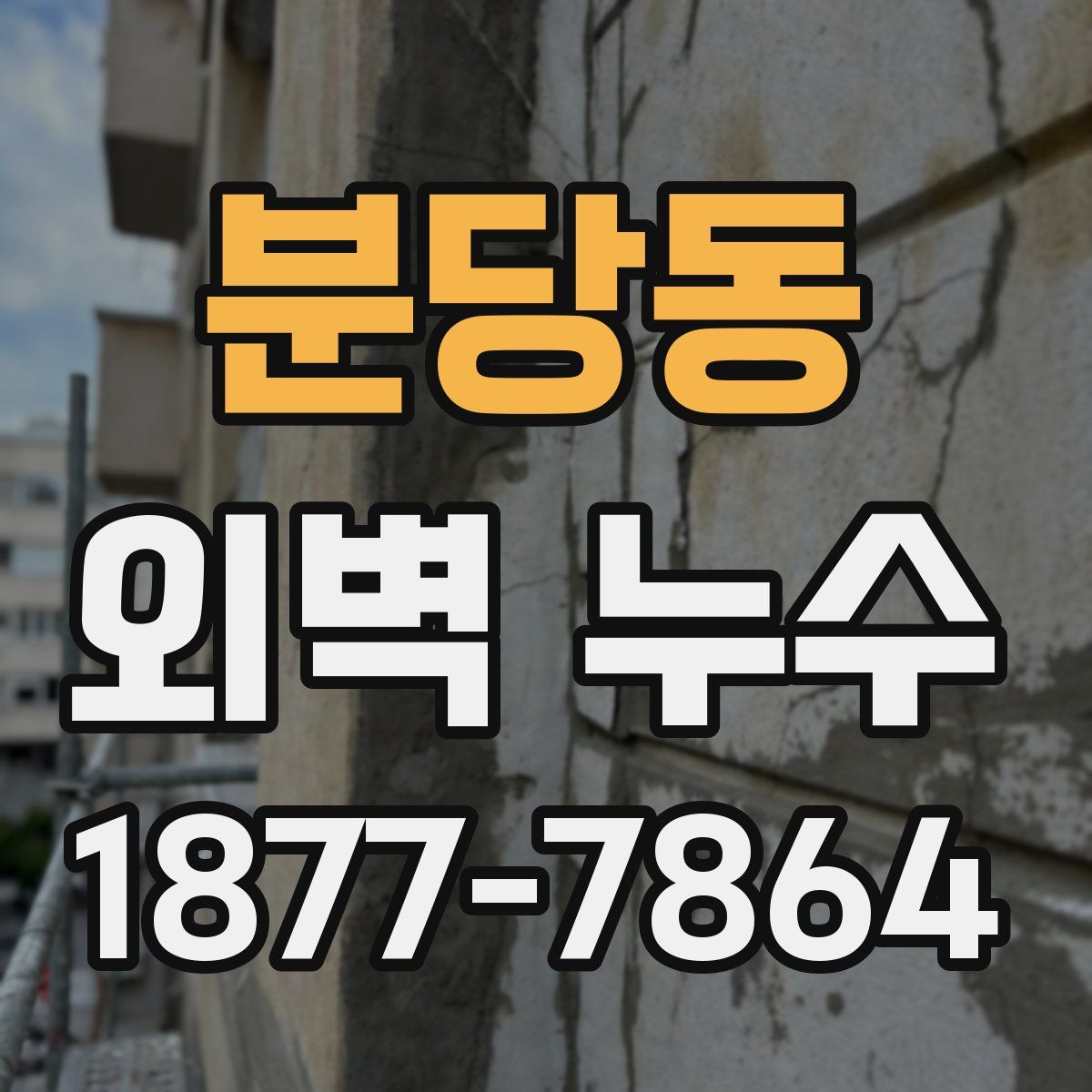 분당동 외벽 누수