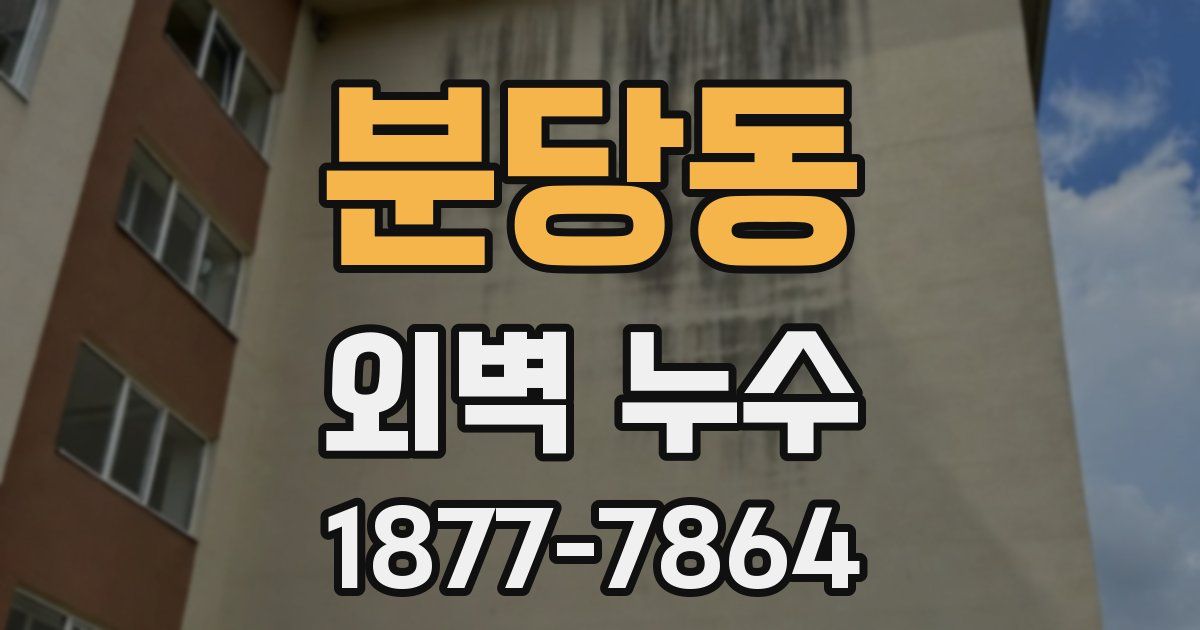 분당동 외벽 누수