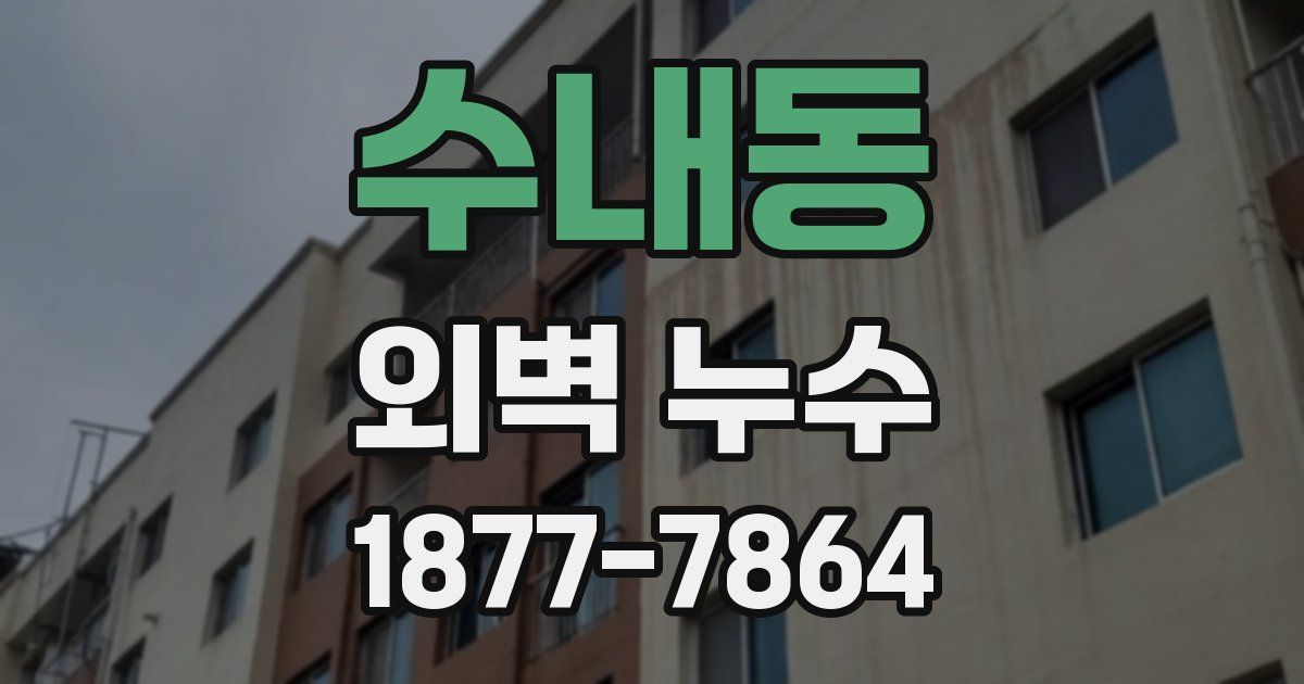 수내동 외벽 누수