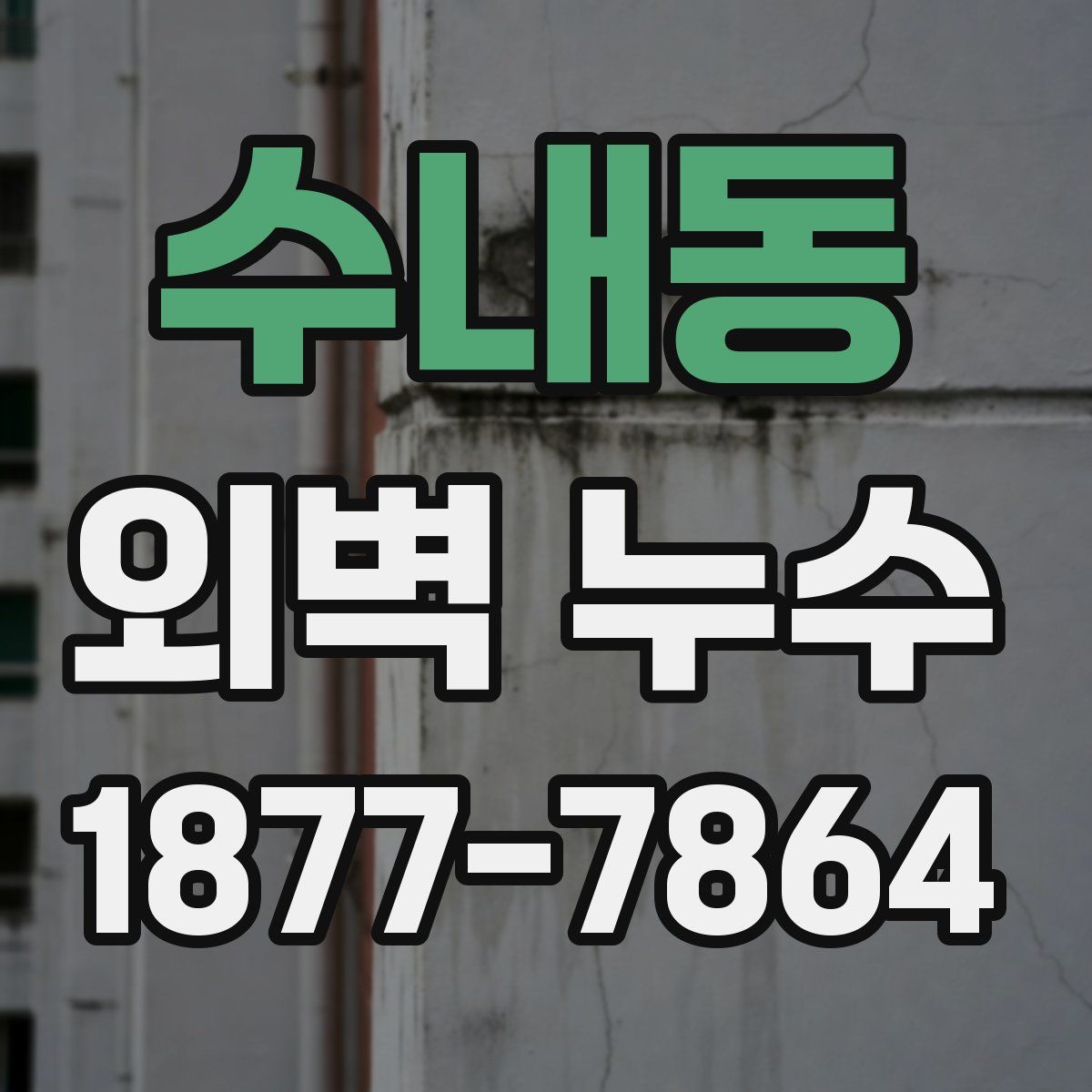수내동 외벽 누수