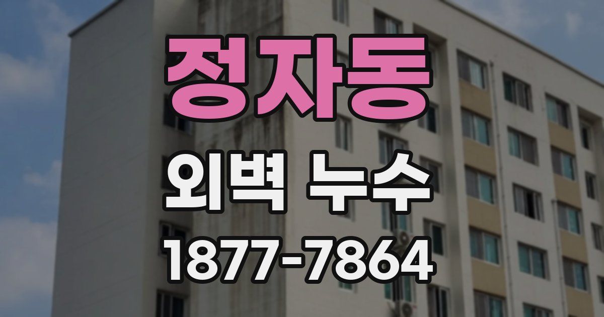 정자동 외벽 누수
