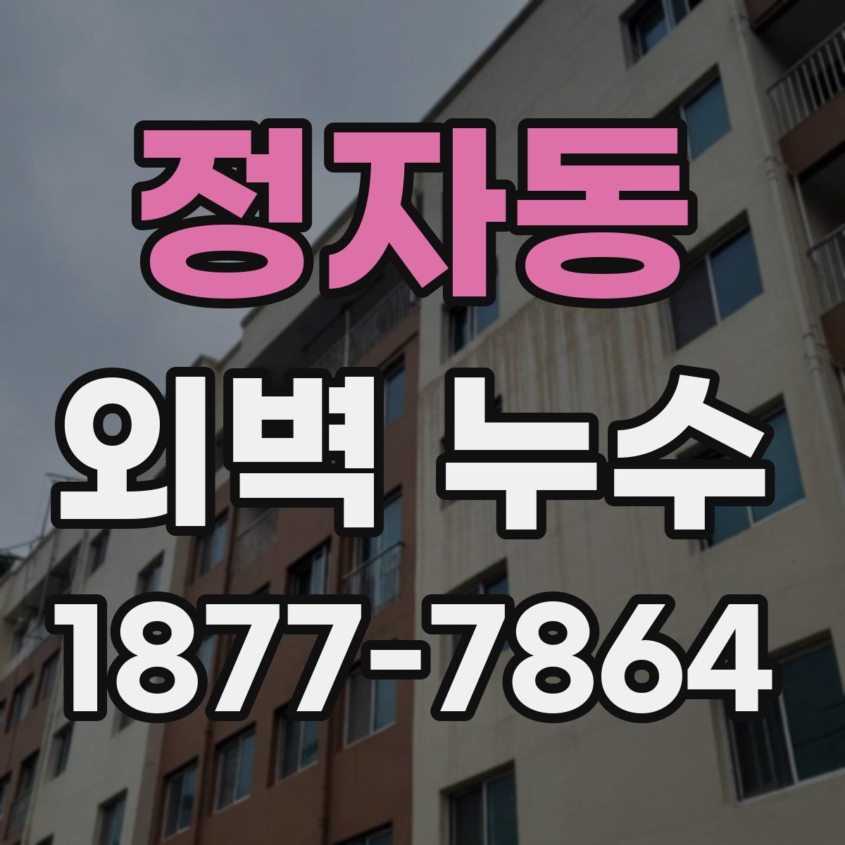 정자동 외벽 누수