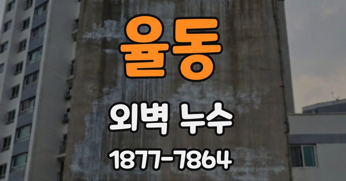 율동 외벽 누수