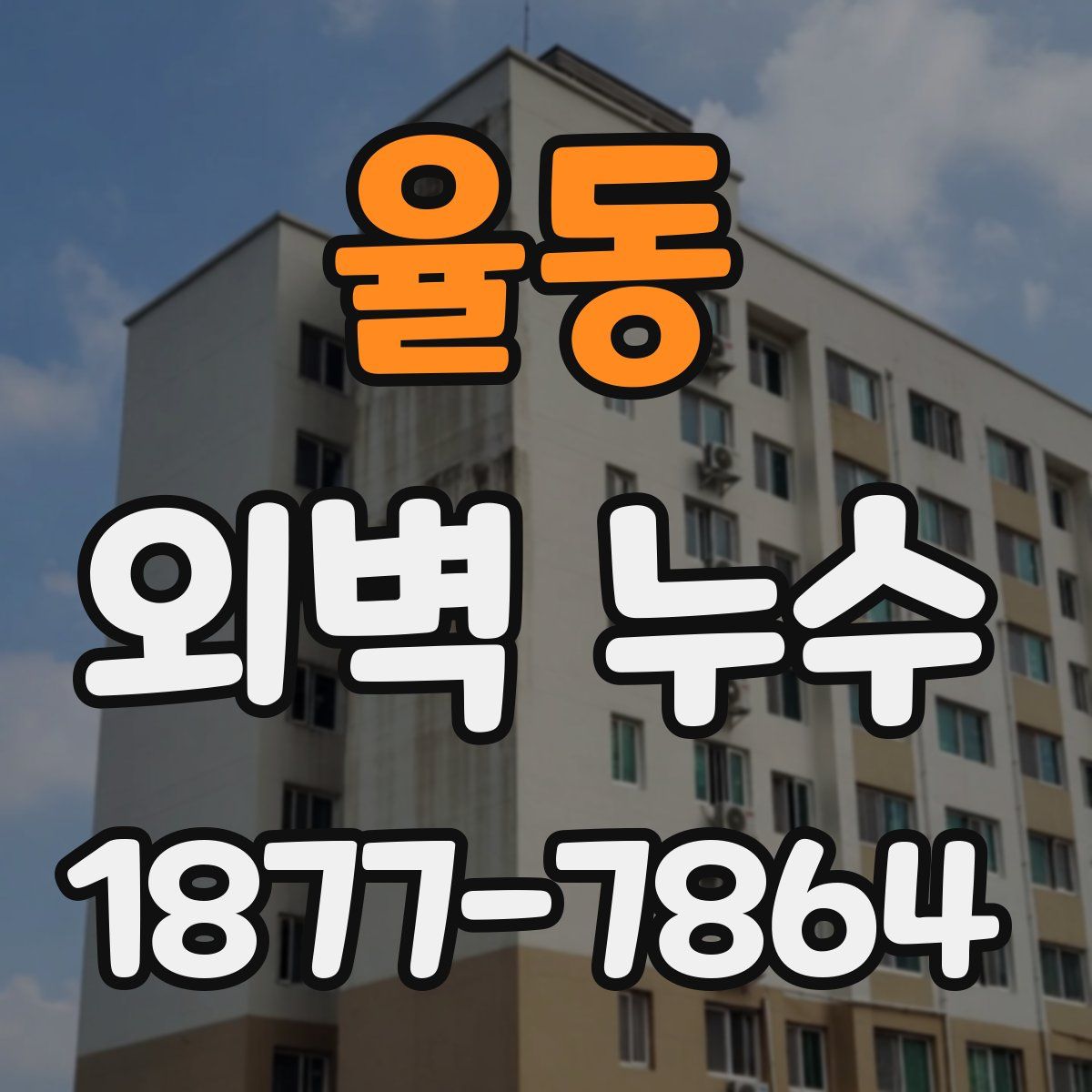 율동 외벽 누수