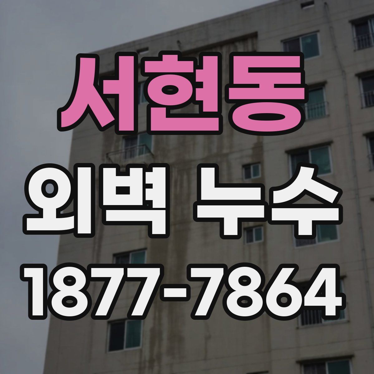 서현동 외벽 누수