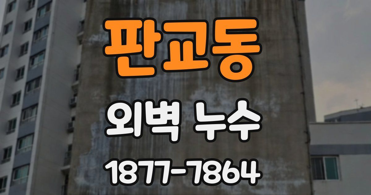 판교동 외벽 누수