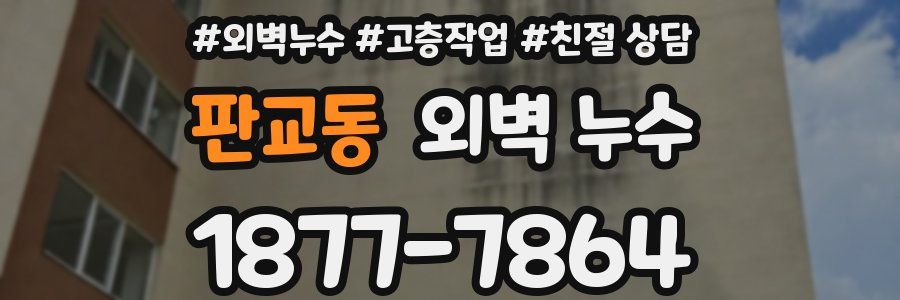 판교동 외벽 누수