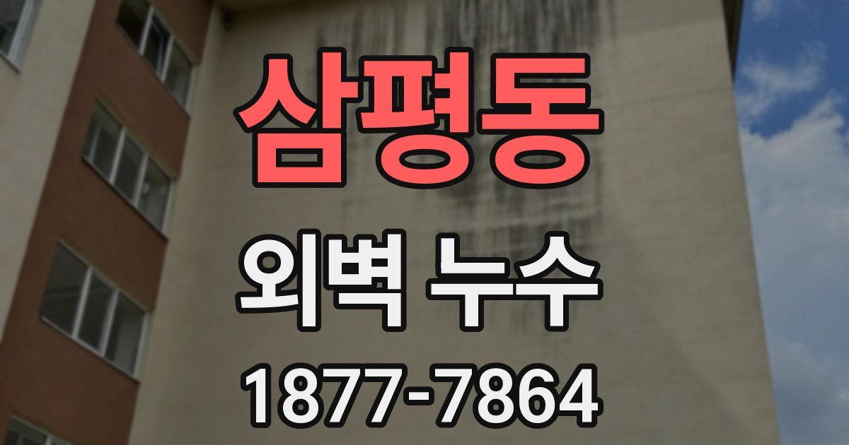 삼평동 외벽 누수