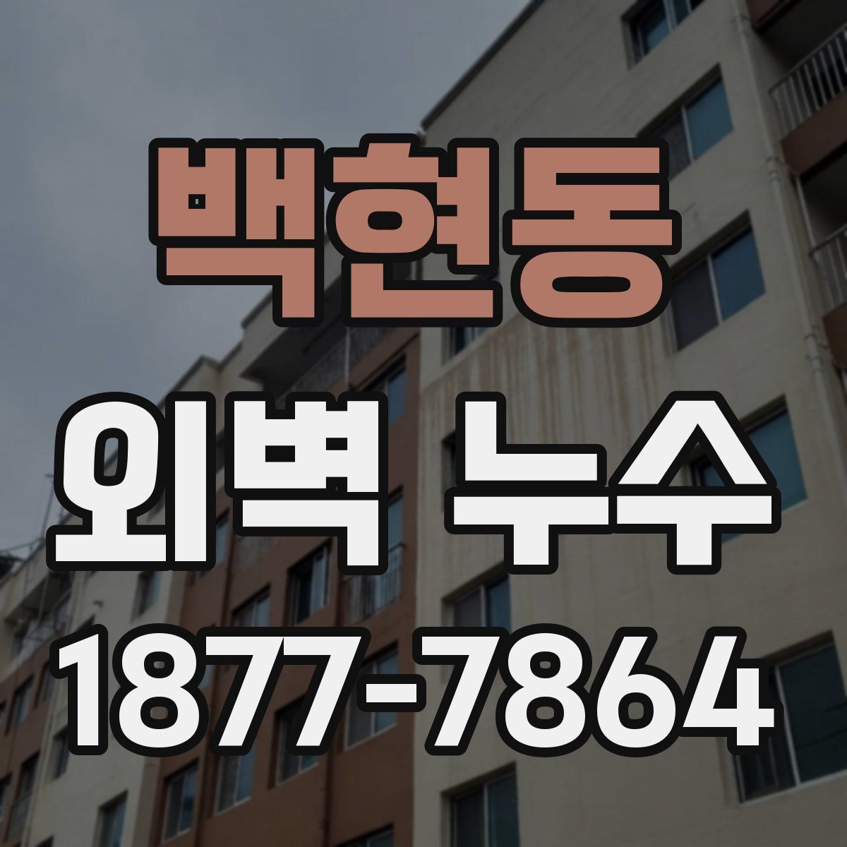 백현동 외벽 누수