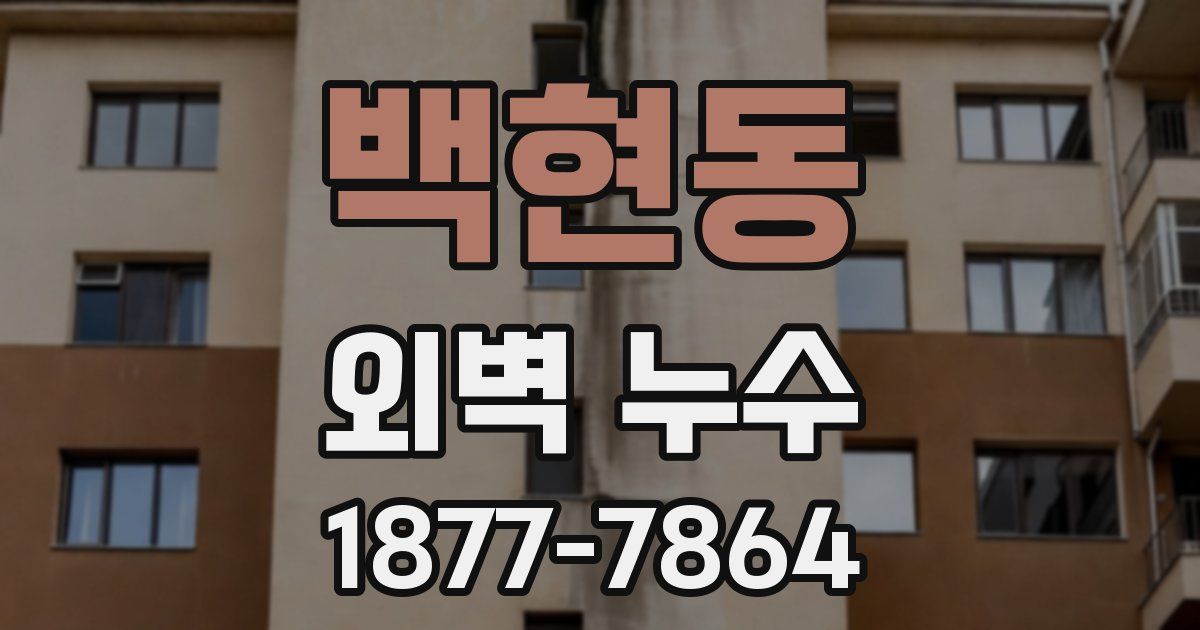 백현동 외벽 누수