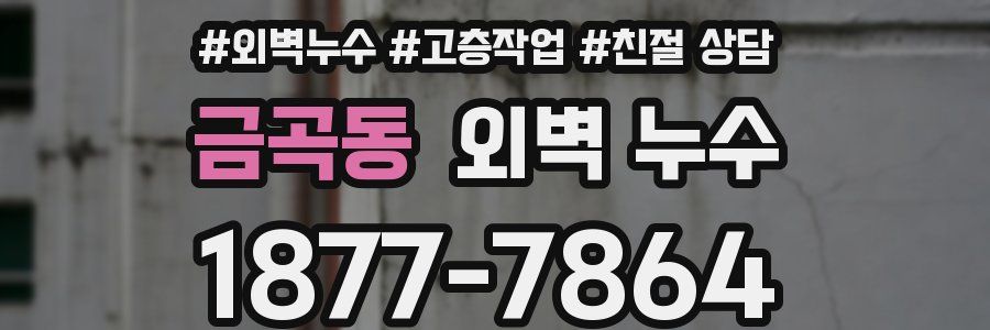 금곡동 외벽 누수