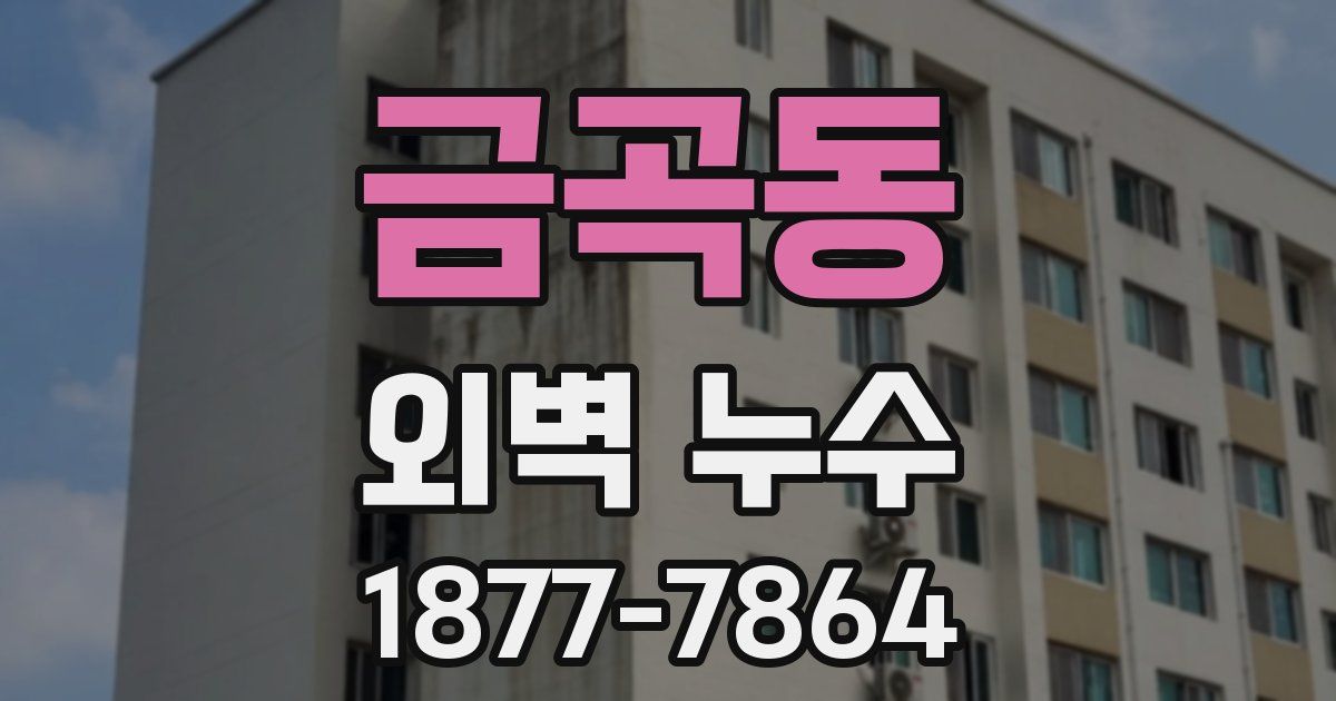 금곡동 외벽 누수