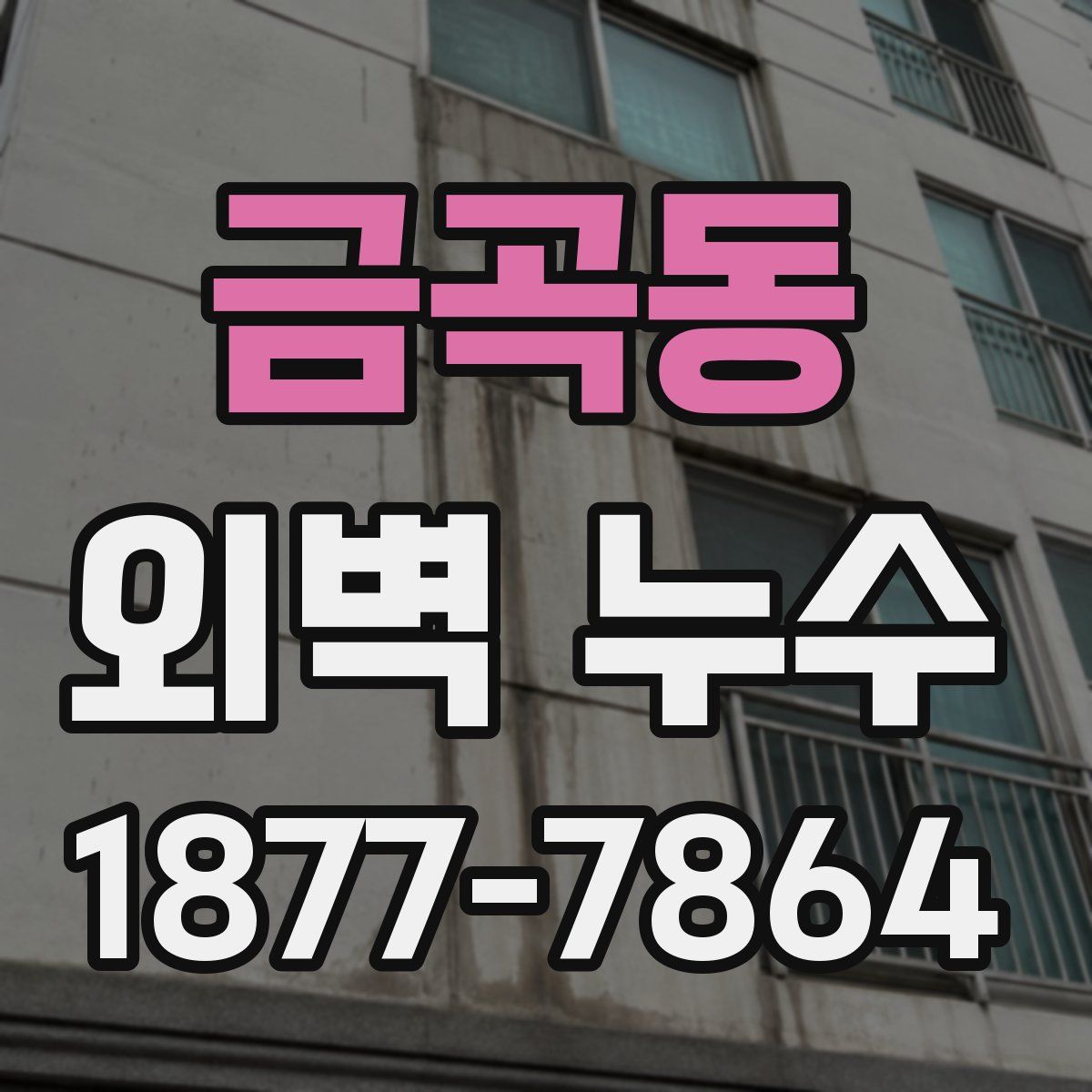 금곡동 외벽 누수
