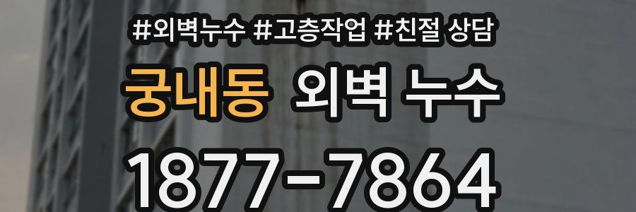 궁내동 외벽 누수