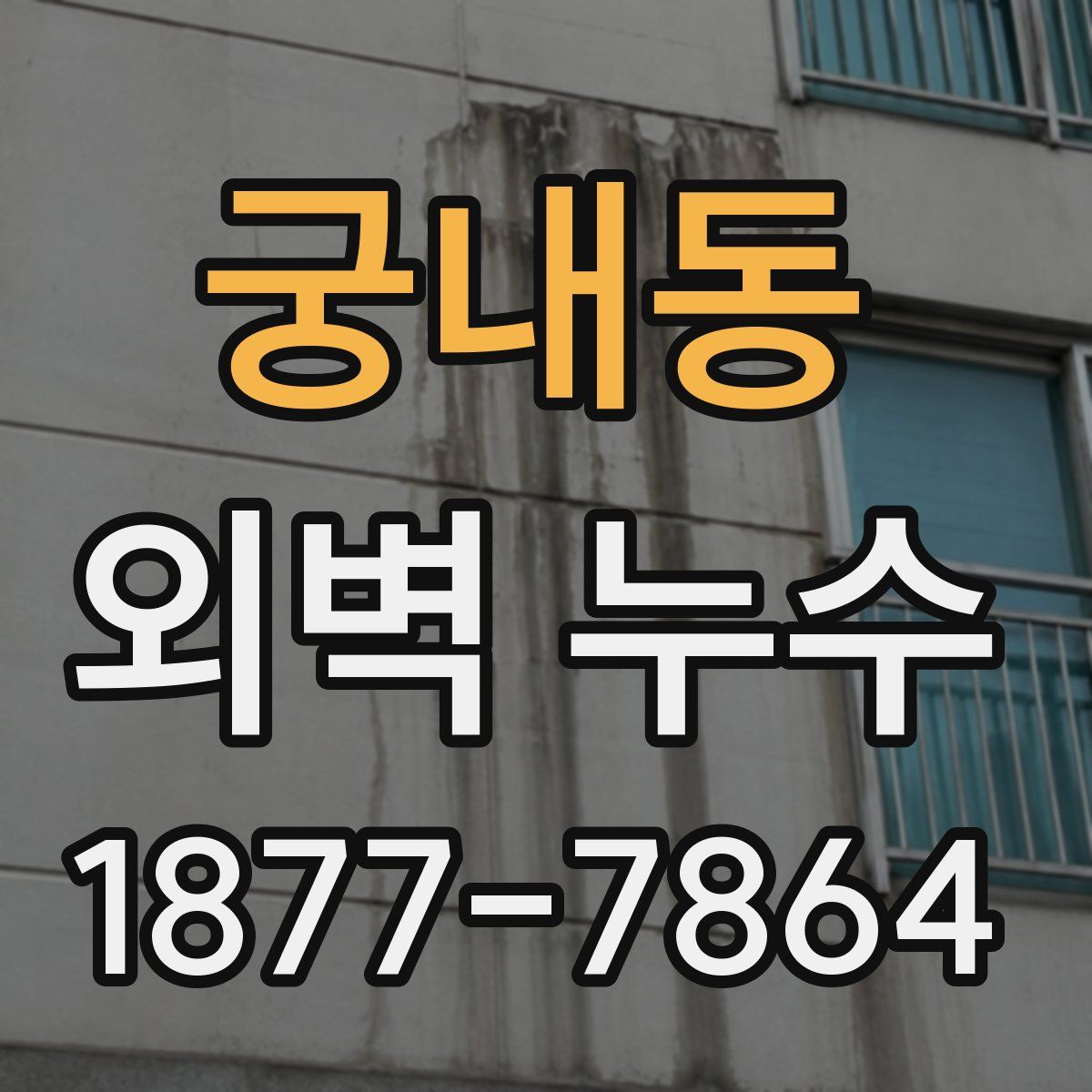 궁내동 외벽 누수