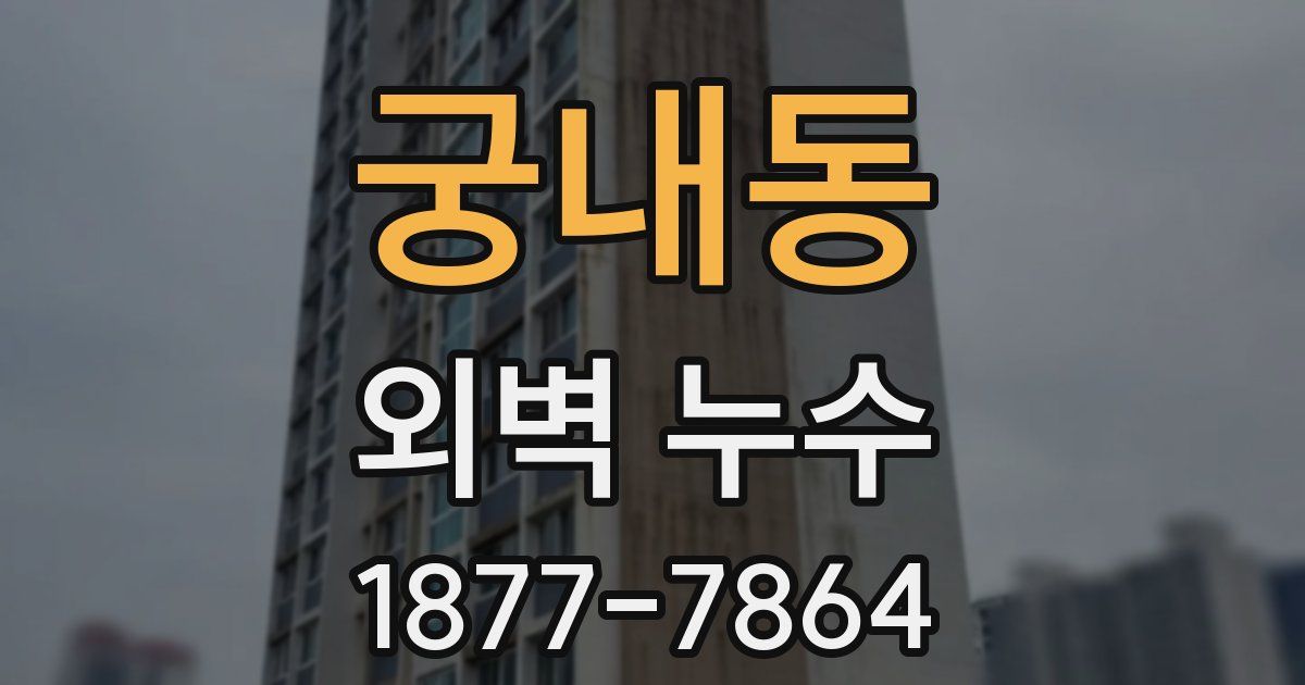 궁내동 외벽 누수