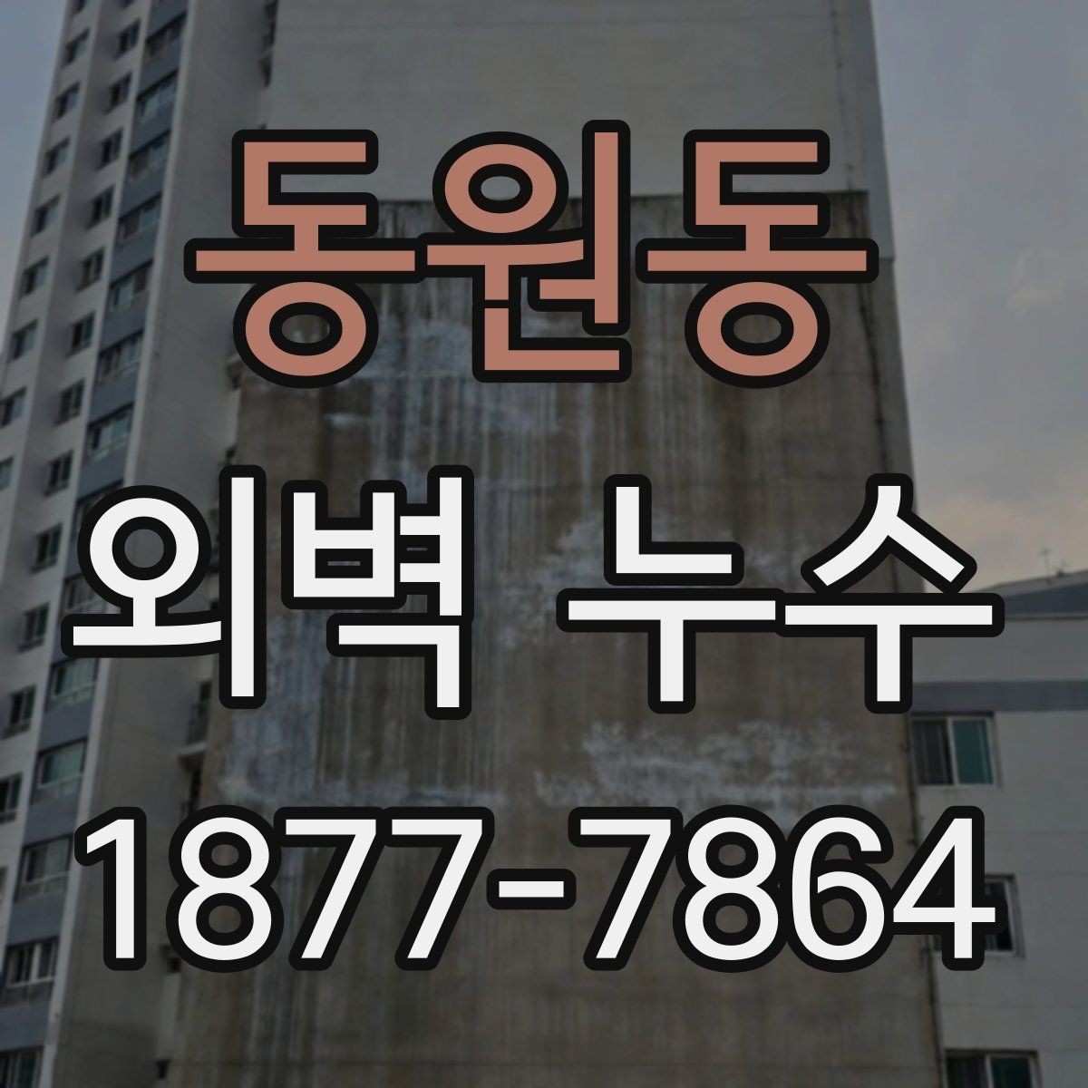 동원동 외벽 누수 점검 시 함께 보면 좋은 주변 요소