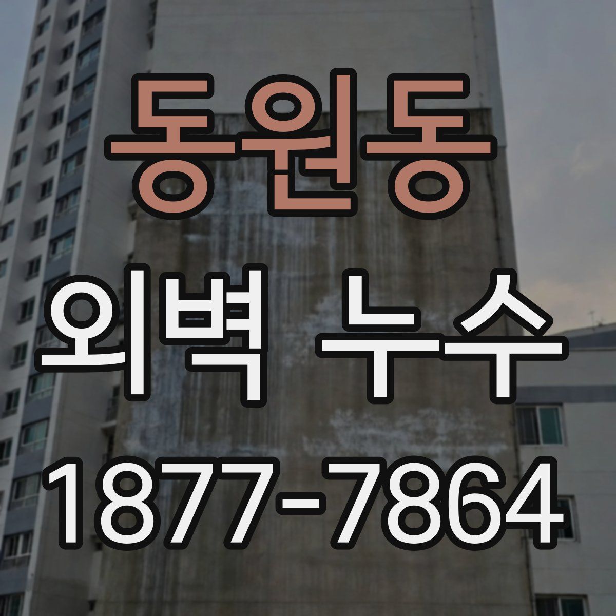 동원동 외벽 누수