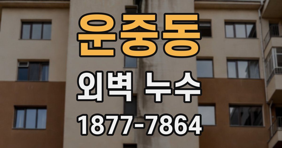 운중동 외벽 누수