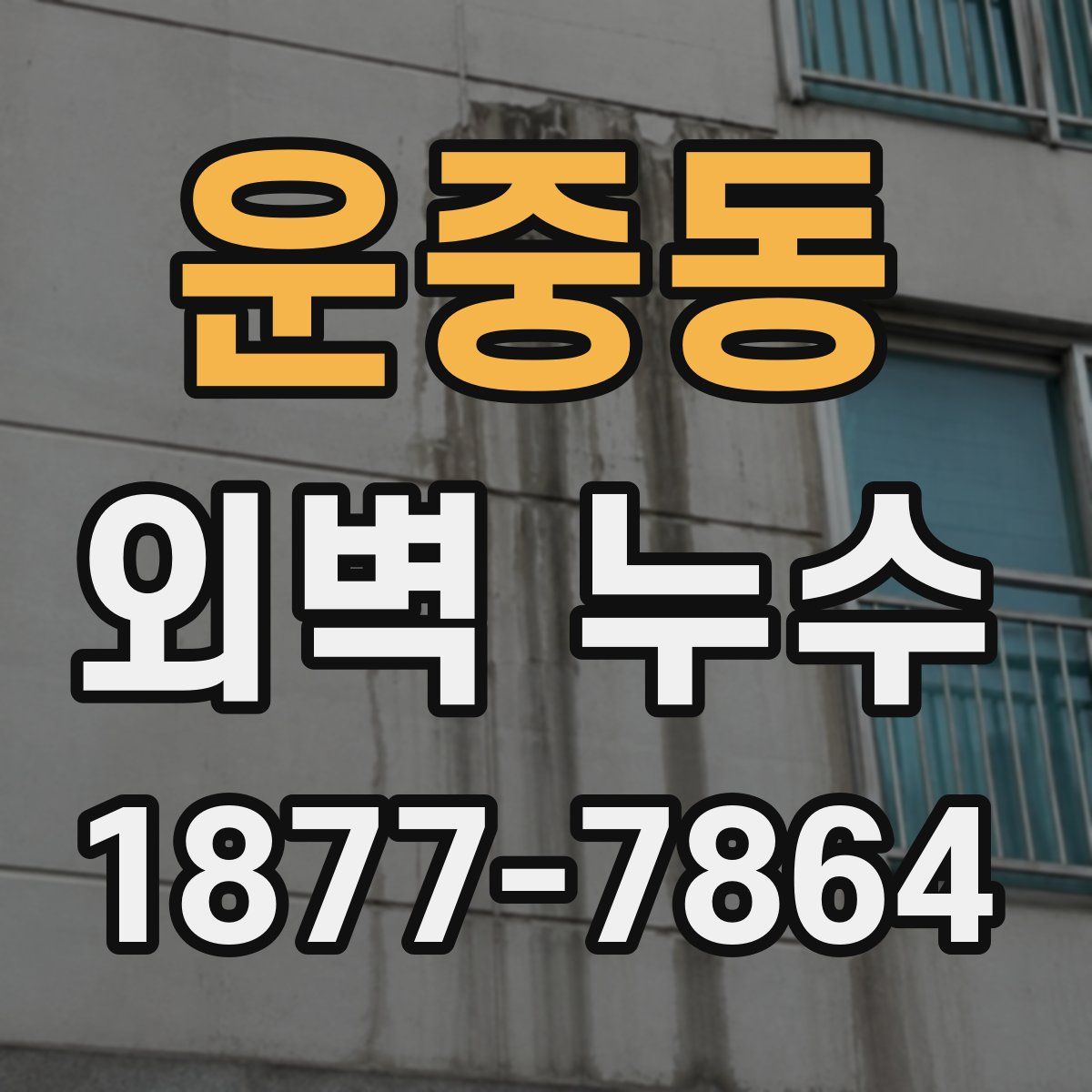 운중동 외벽 누수