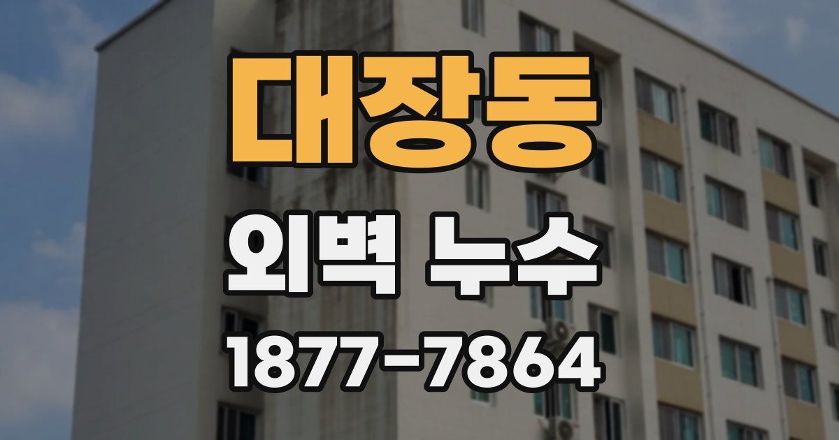 대장동 외벽 누수