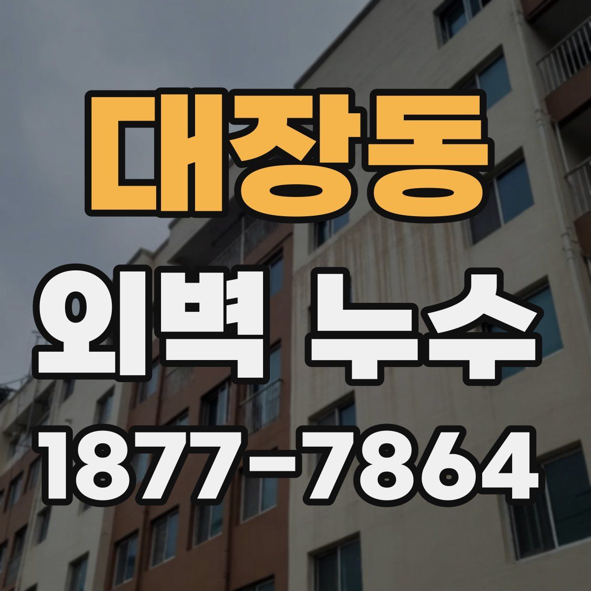 대장동 외벽 누수