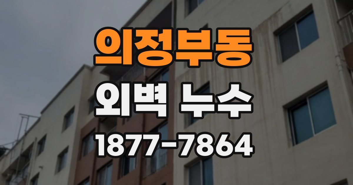 의정부동 외벽 누수
