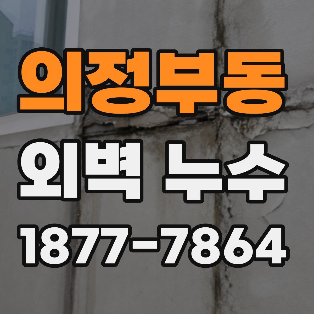 의정부동 외벽 누수