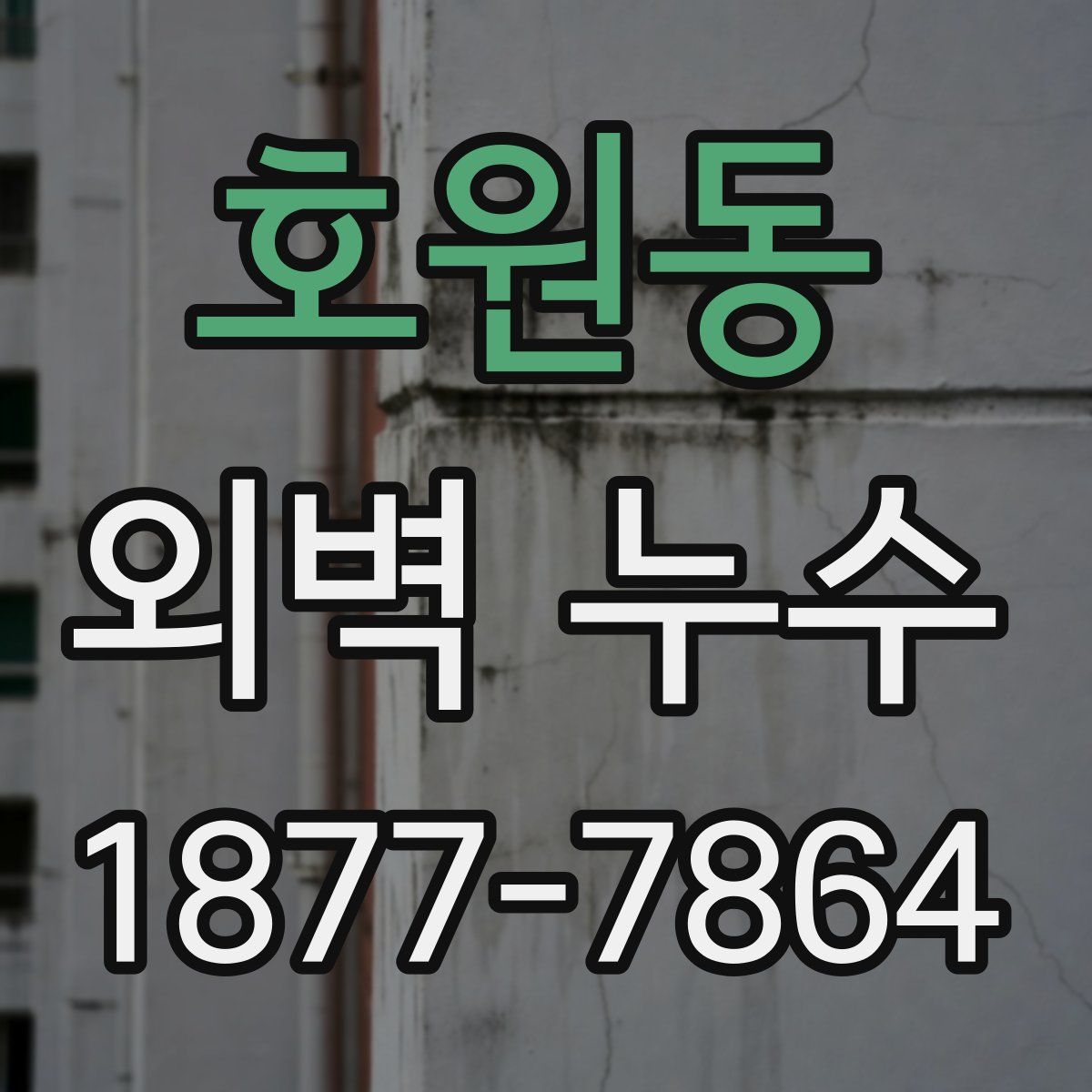 호원동 외벽 누수