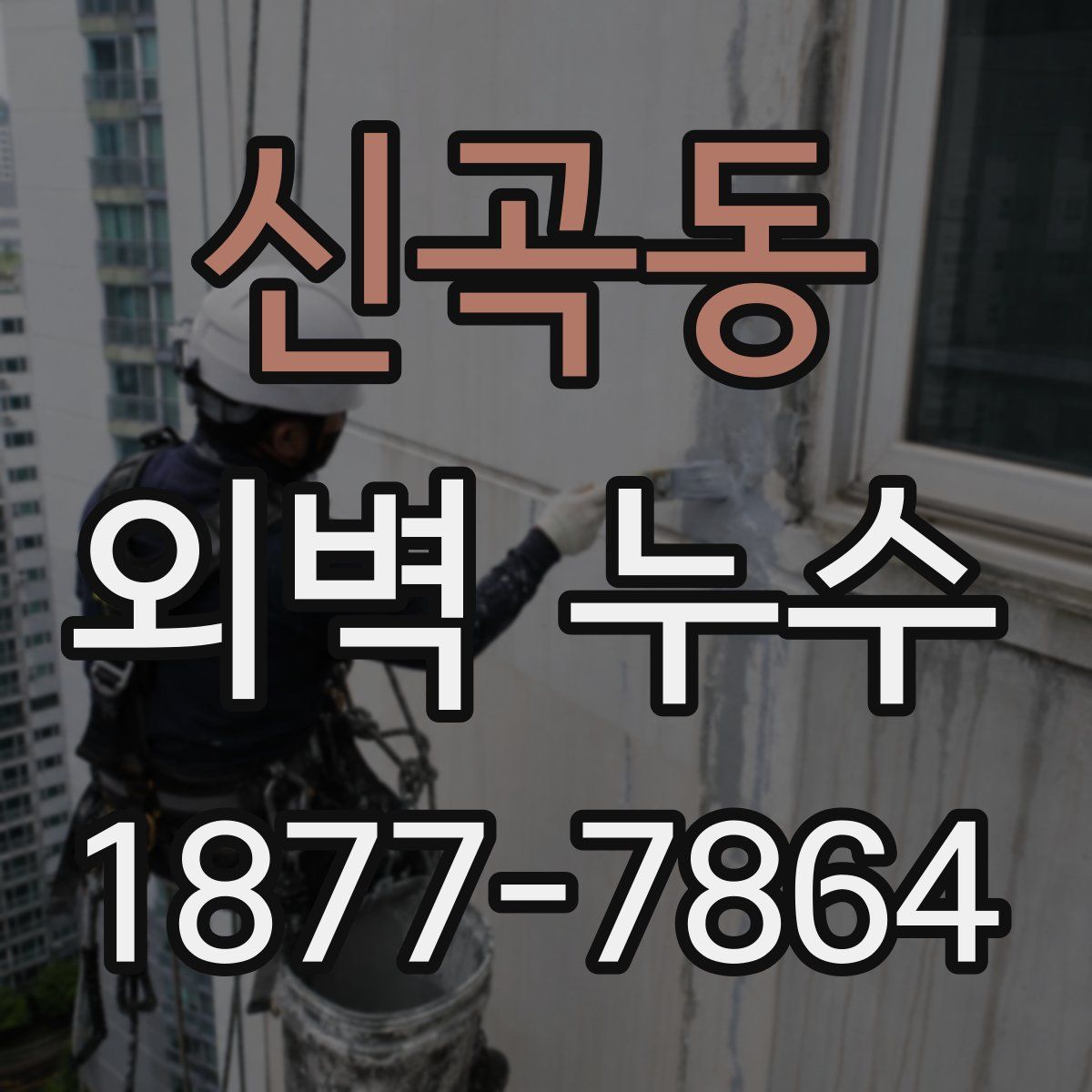 신곡동 외벽 누수