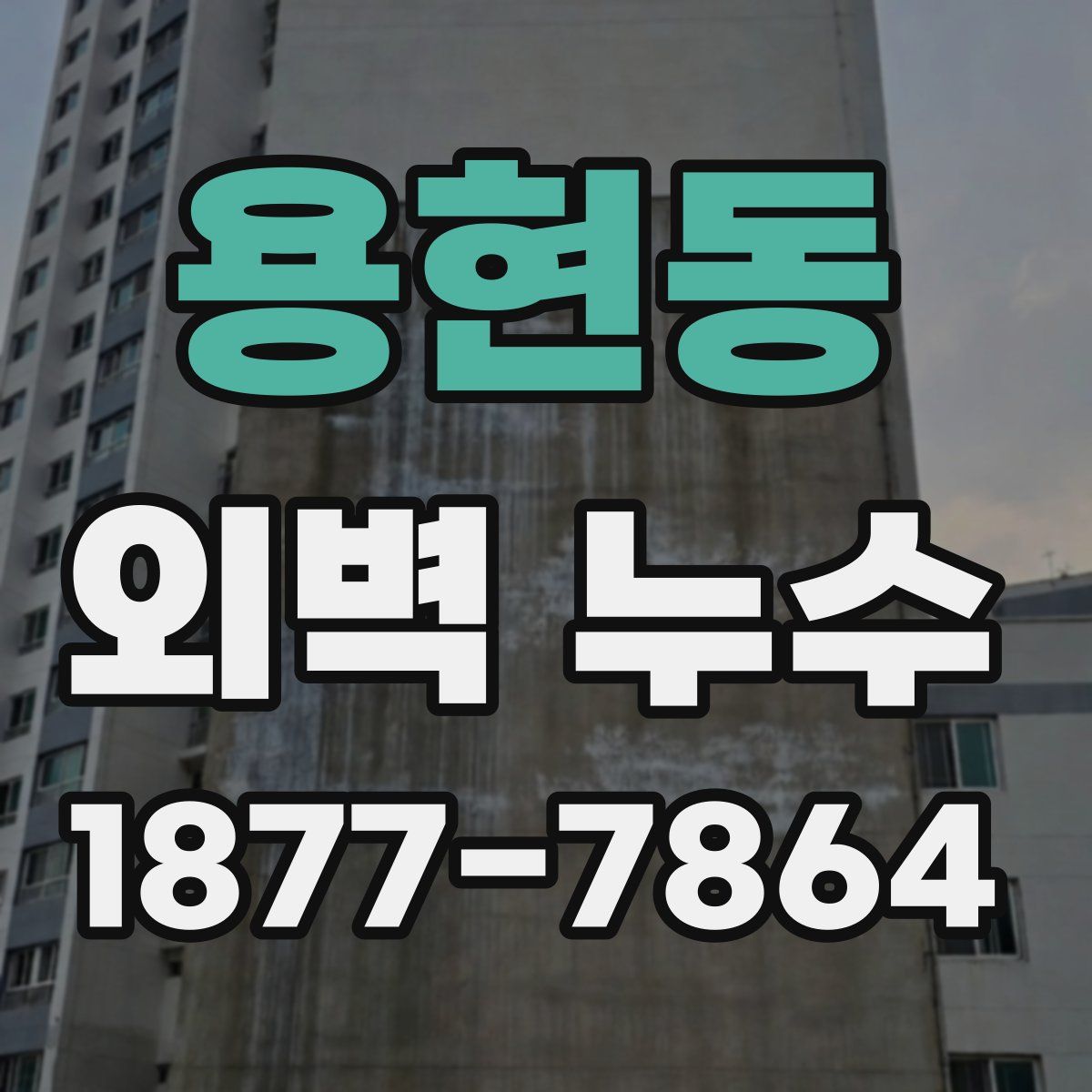 용현동 외벽 누수