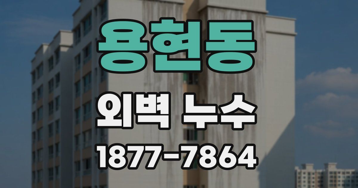 용현동 외벽 누수