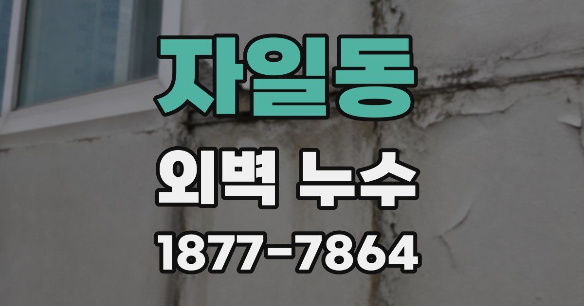 자일동 외벽 누수