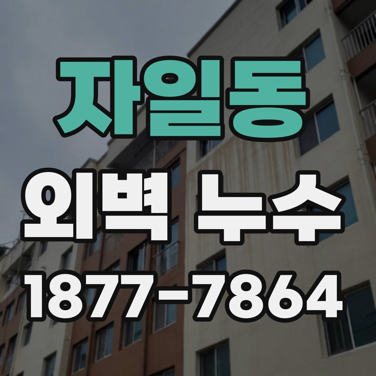 자일동 외벽 누수