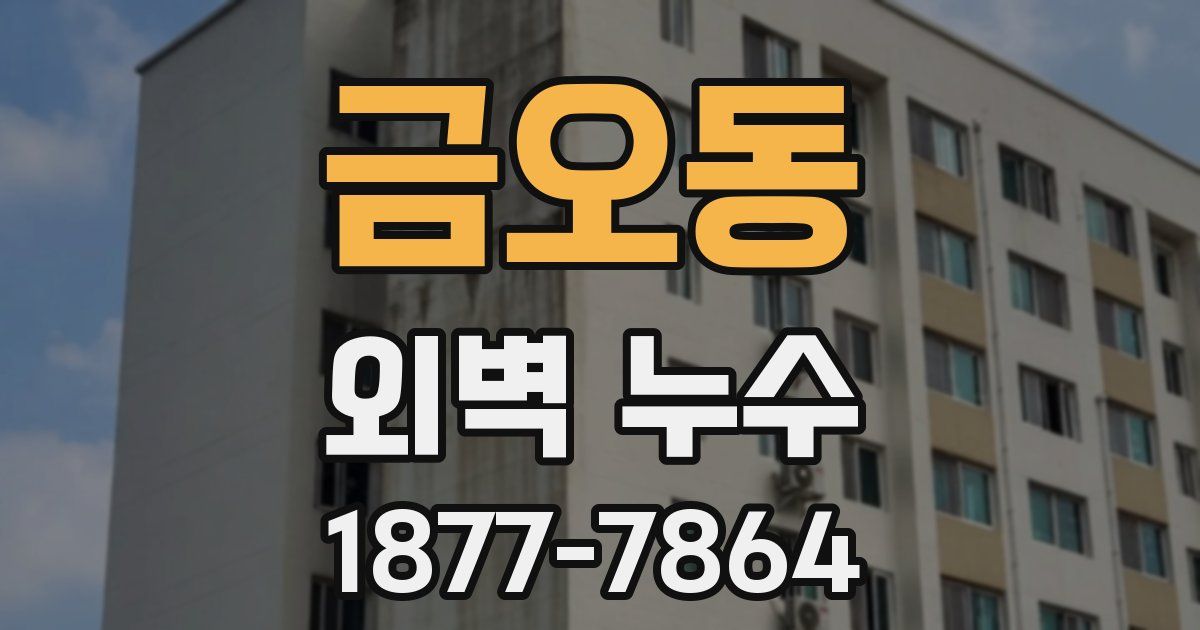 금오동 외벽 누수